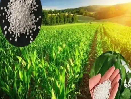 Fast Customs Clearance Urea Nitrogen Fertilizer 46%