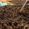 China 
Compost From Cow Dung Organic Fertilizer by China Supplier
manufacture and supplier